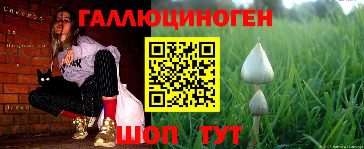 Лосино-Петровский  Псилоцибиновые грибы Magic Shrooms  Вход с VPN  даркнет сайт  Галлюциногенные грибы Psilocybine cubensis 