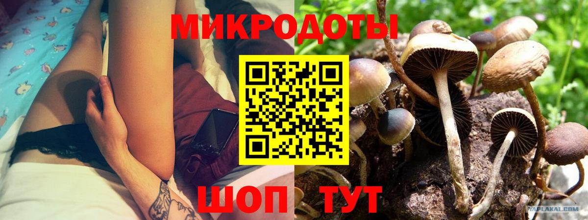 Галлюциногенные грибы ЛСД Лосино-Петровский
